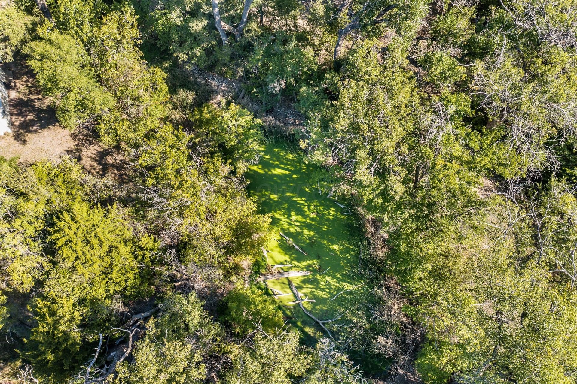 800 acres in Texas County - photo 26