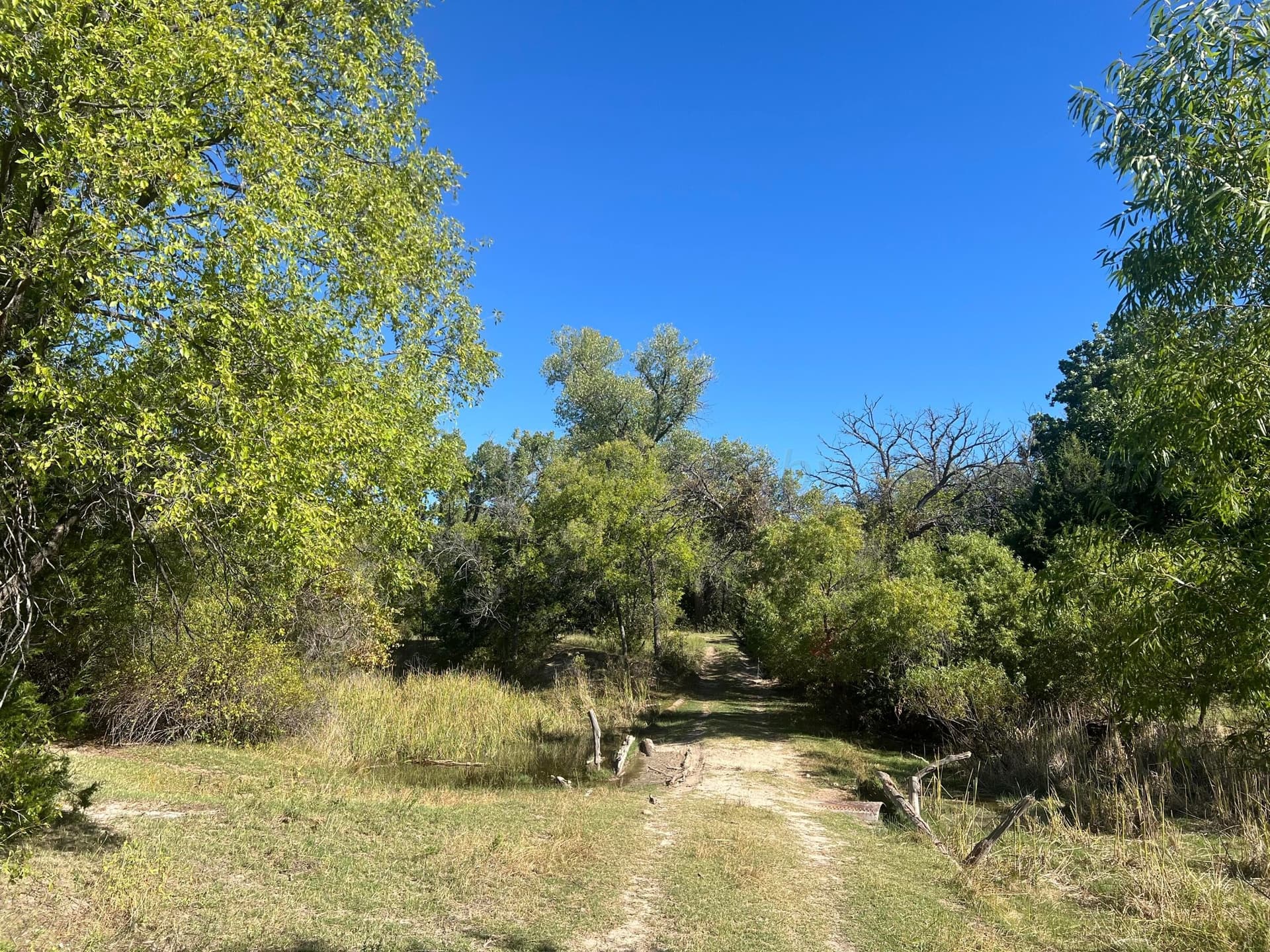 800 acres in Texas County - photo 5