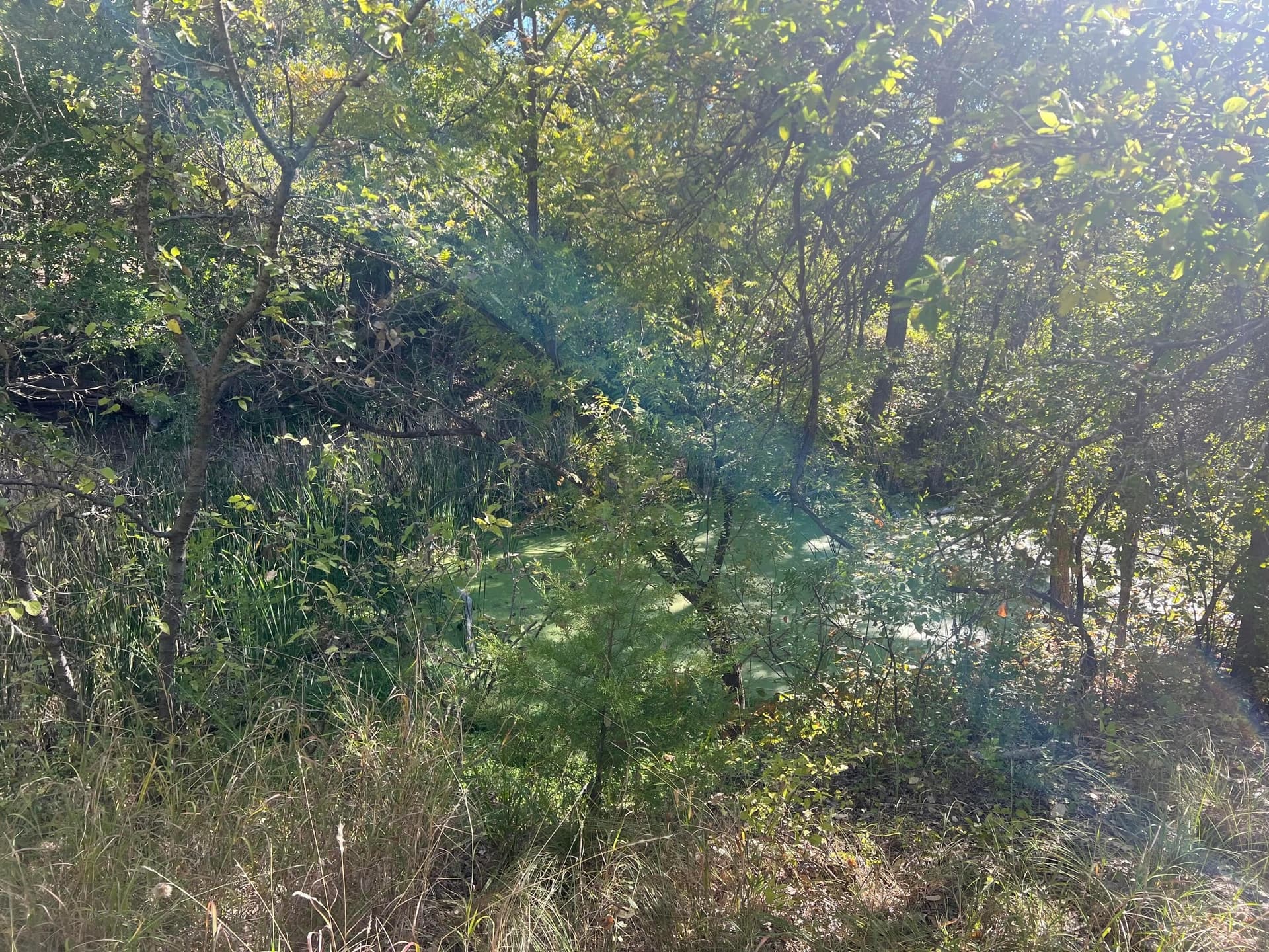 800 acres in Texas County - photo 8