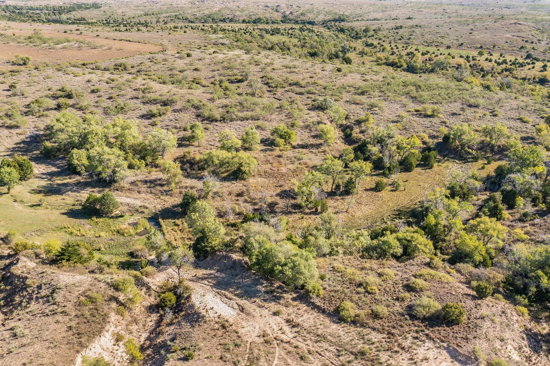 800 acres in Texas County - photo 23