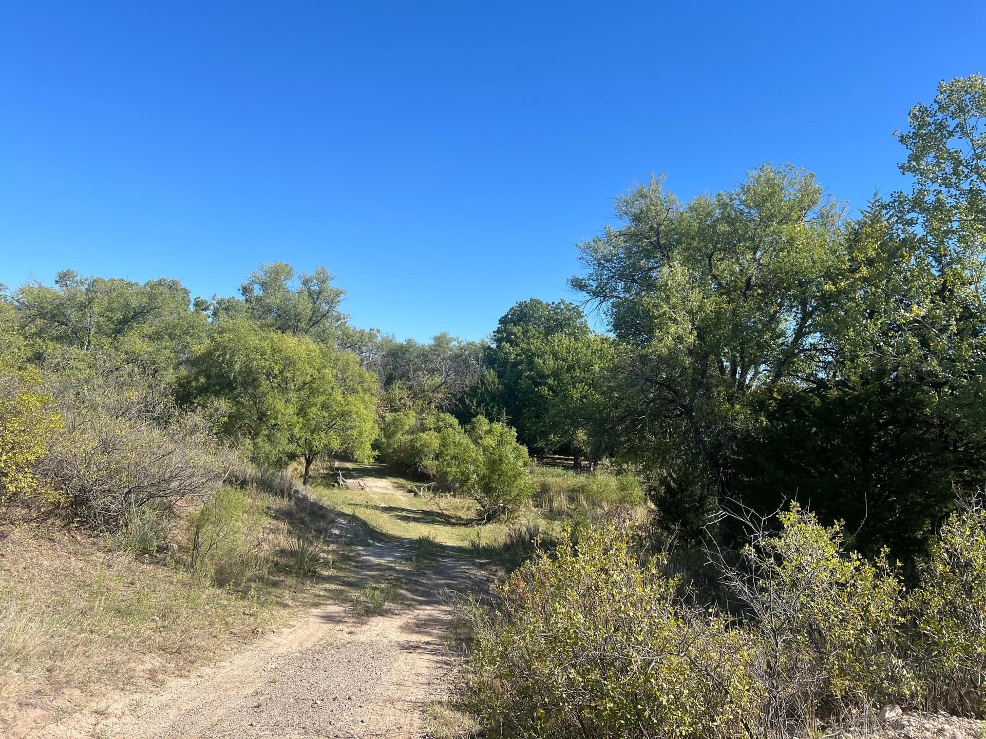 800 acres in Texas County - photo 4