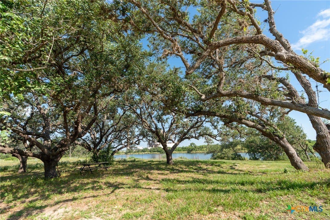 1.67 acres in Goliad County - photo 4
