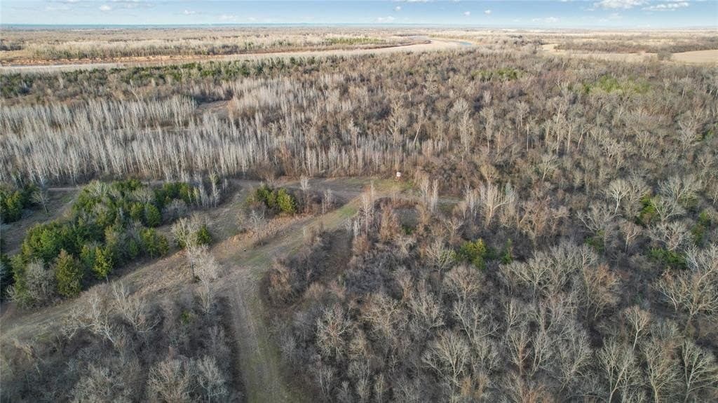 378.3 acres in Lamar County - photo 8