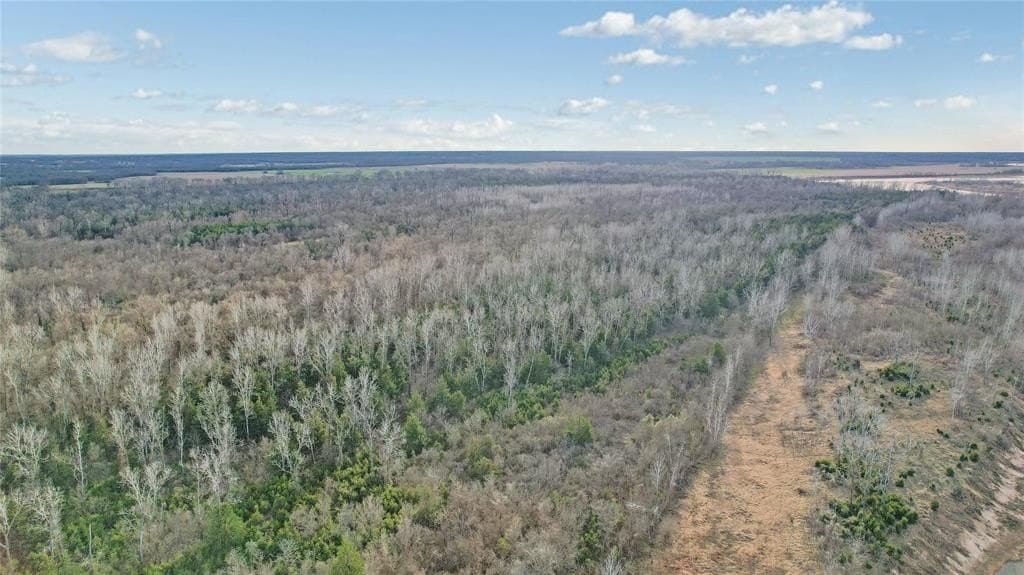 378.3 acres in Lamar County - photo 9