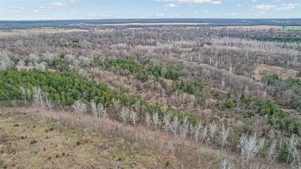 378.3 acres in Lamar County - photo 14