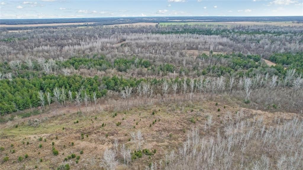 378.3 acres in Lamar County - photo 16