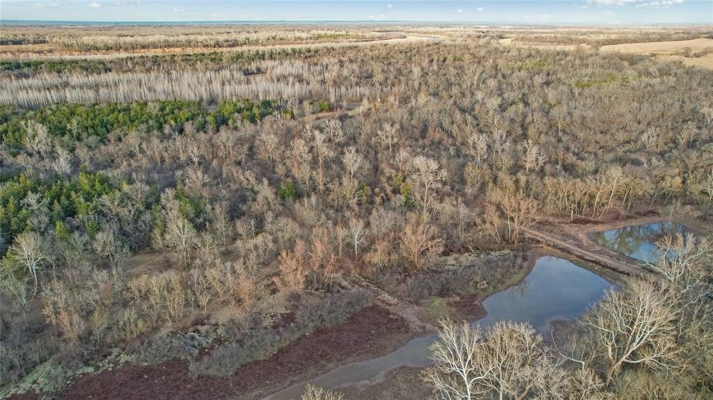 378.3 acres in Lamar County - photo 7