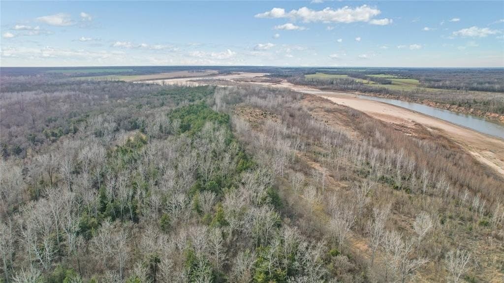 378.3 acres in Lamar County - photo 10