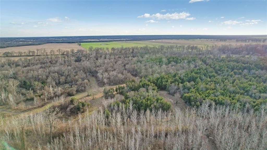 378.3 acres in Lamar County - photo 5