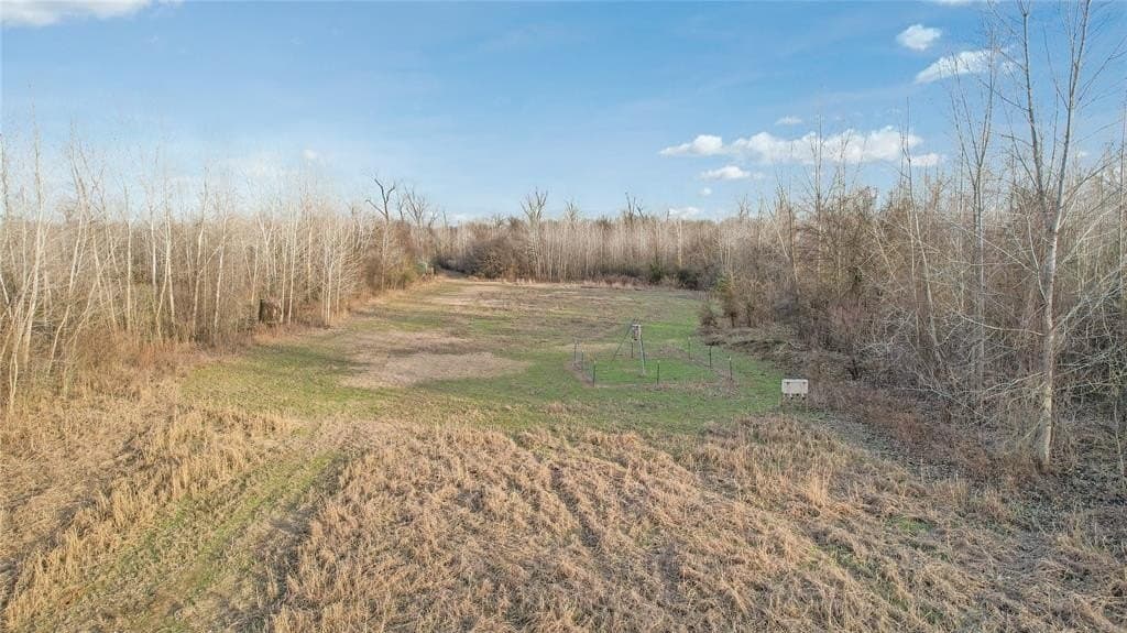 378.3 acres in Lamar County - photo 4