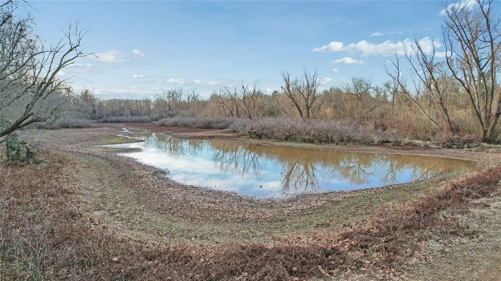 378.3 acres in Lamar County - photo 6