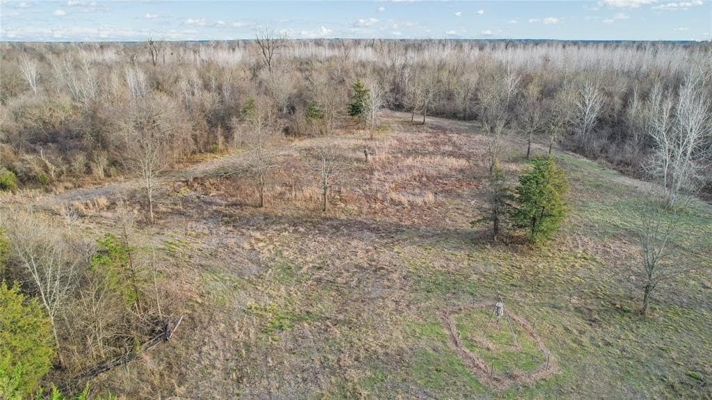 378.3 acres in Lamar County - photo 12
