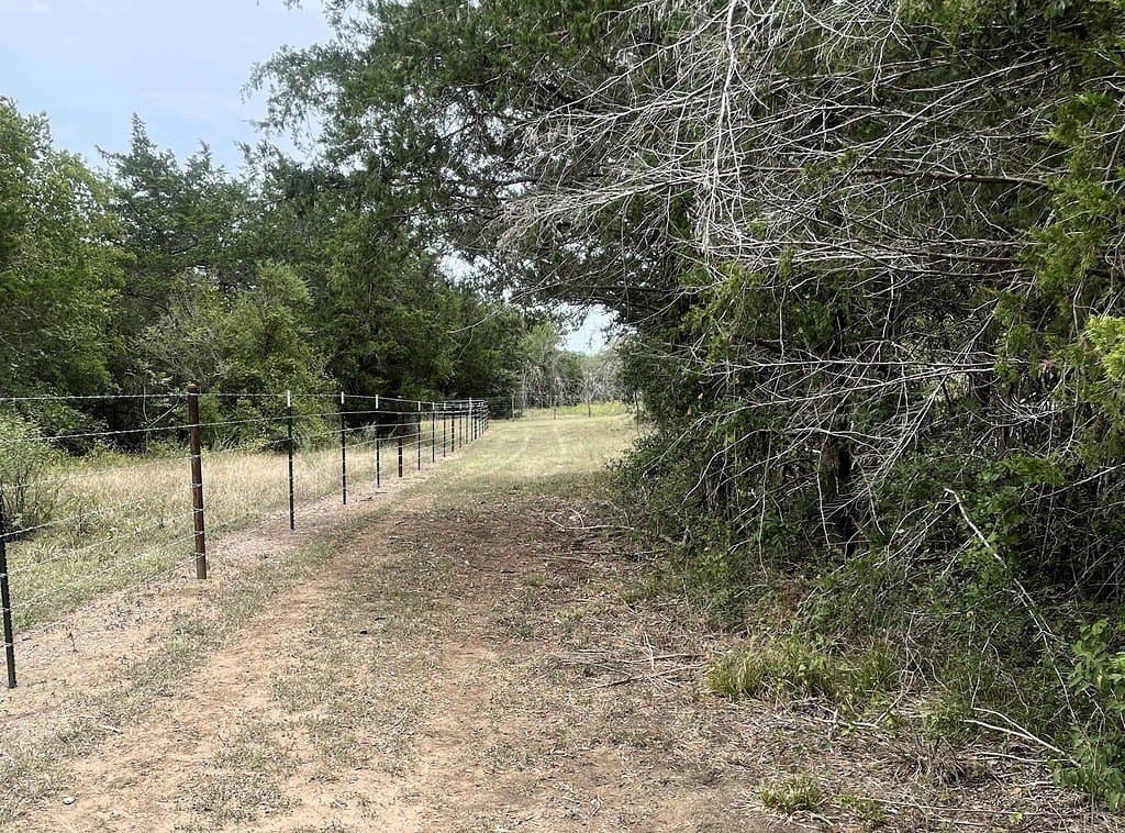 9.64 acres in Lavaca County - photo 21