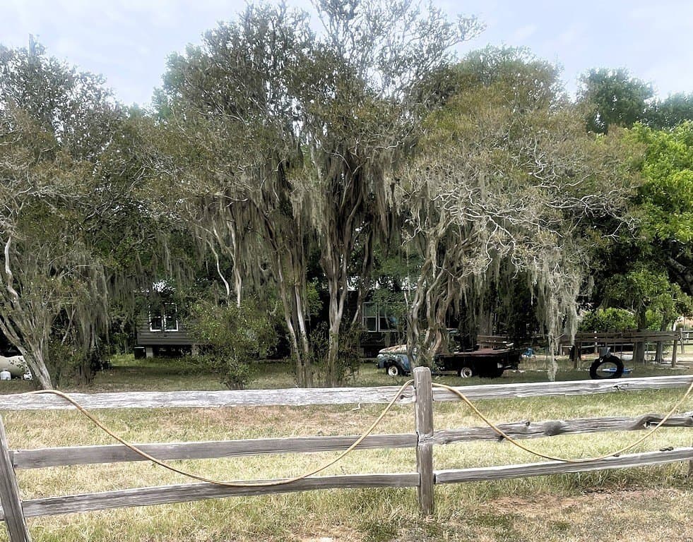 9.64 acres in Lavaca County - photo 2