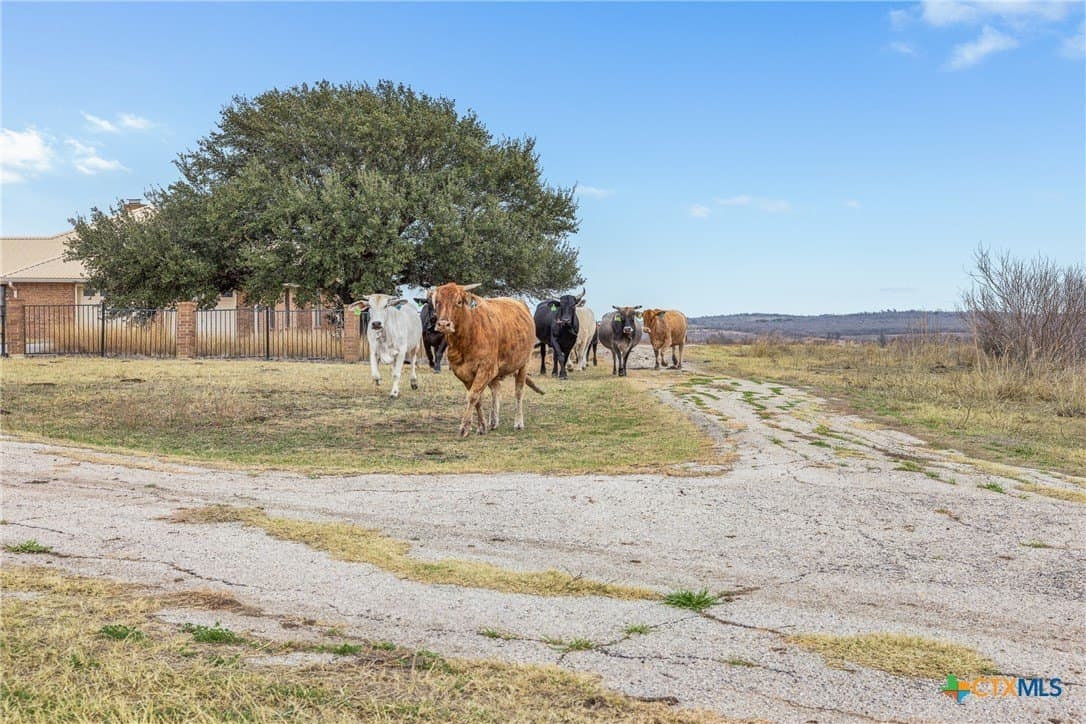 900 acres in Caldwell County - photo 26