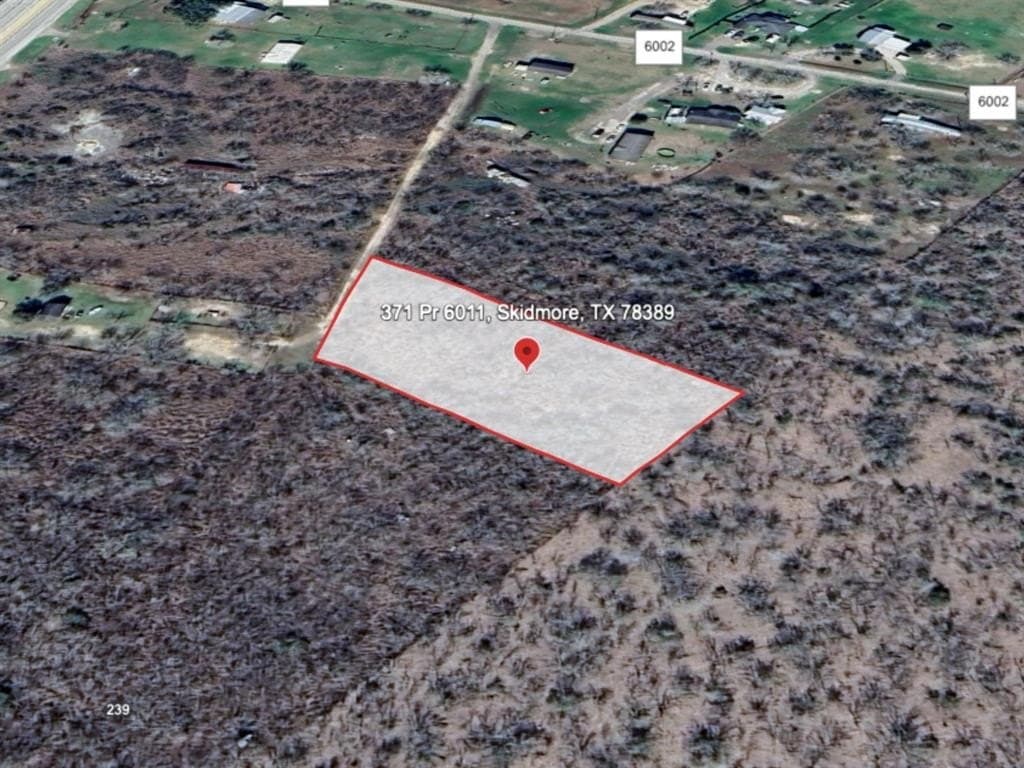 1.31 acres in Bee County - photo 3