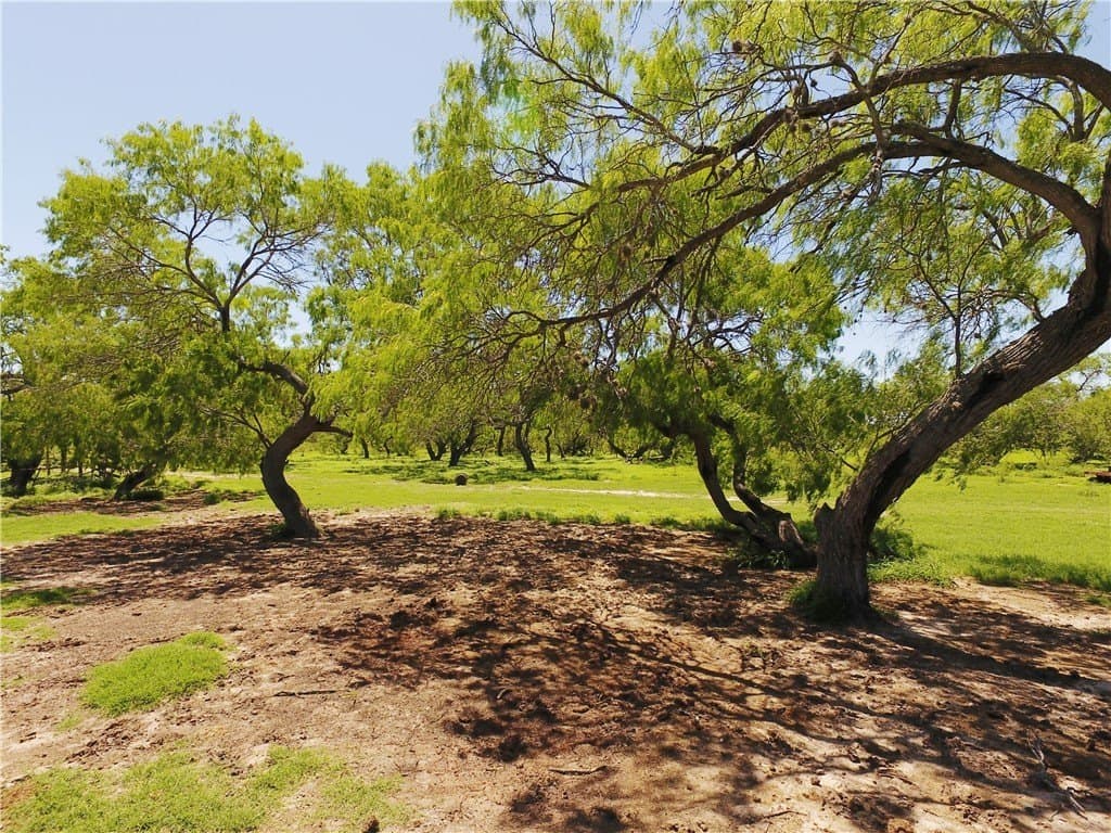 870 acres in Kleberg County - photo 3