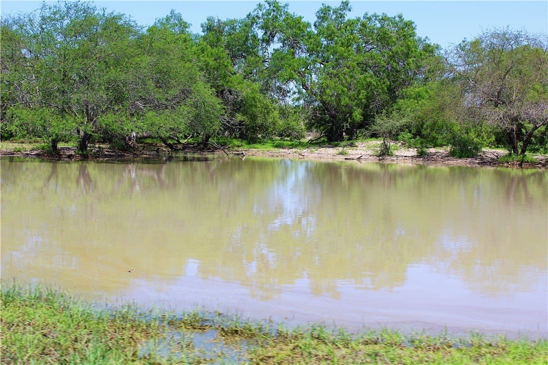 870 acres in Kleberg County - photo 20