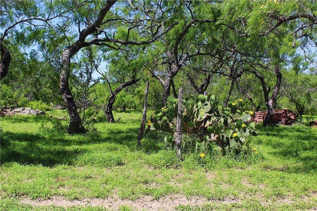 870 acres in Kleberg County - photo 10