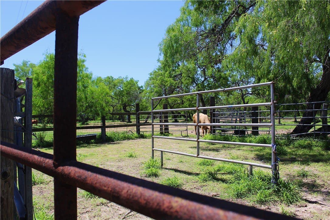 870 acres in Kleberg County - photo 9