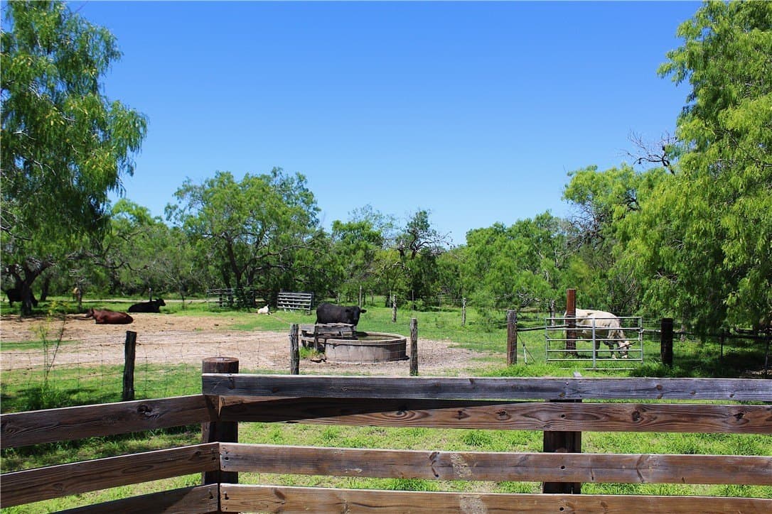 870 acres in Kleberg County - photo 8
