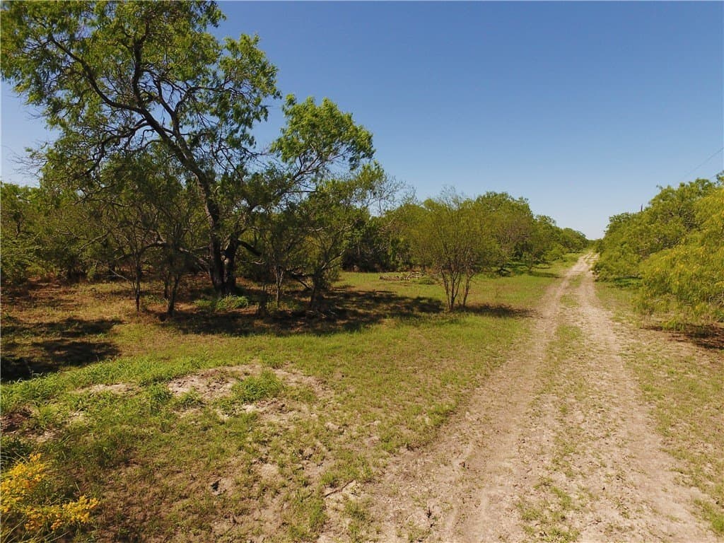 870 acres in Kleberg County - photo 6