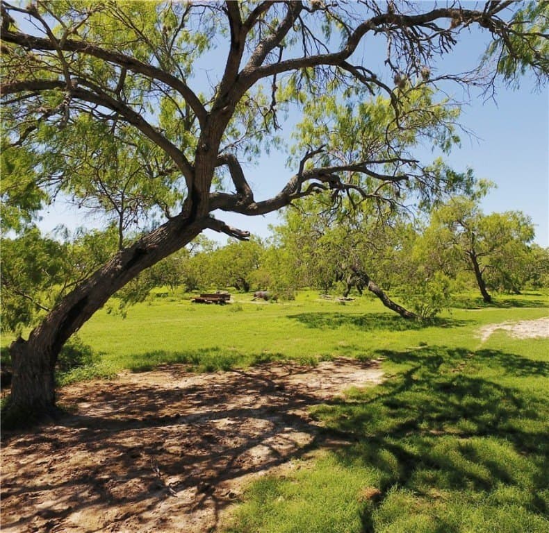 S County Road 1010