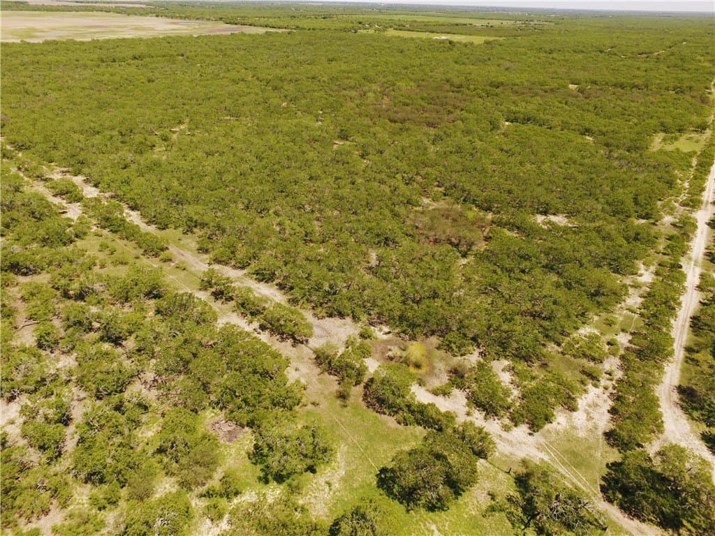 870 acres in Kleberg County - photo 17