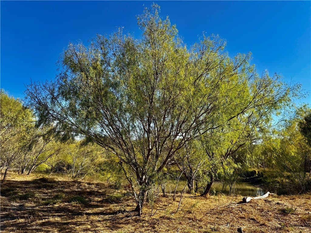 22.81 acres in Wilson County - photo 11