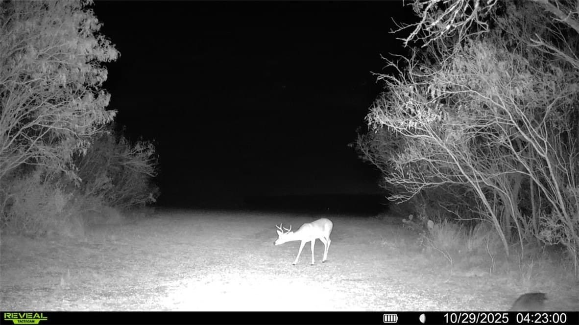 22.81 acres in Wilson County - photo 31