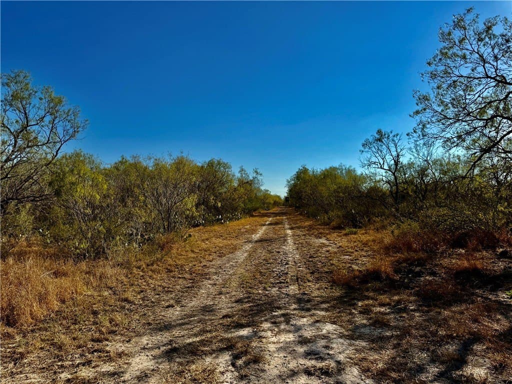22.81 acres in Wilson County - photo 25