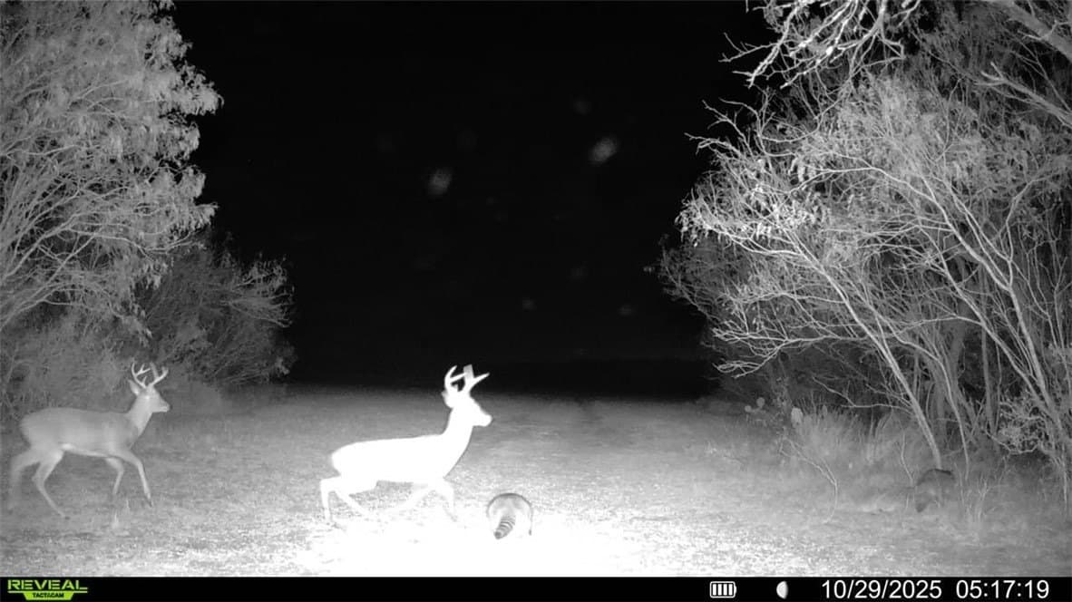 22.81 acres in Wilson County - photo 8