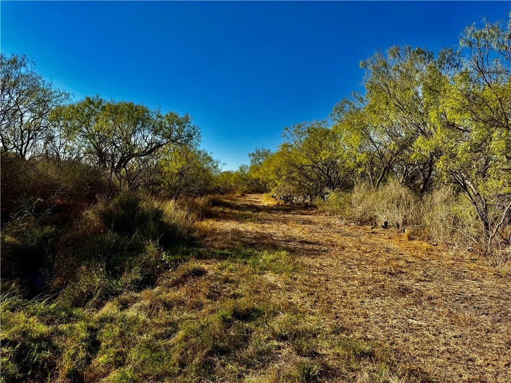 22.81 acres in Wilson County - photo 30
