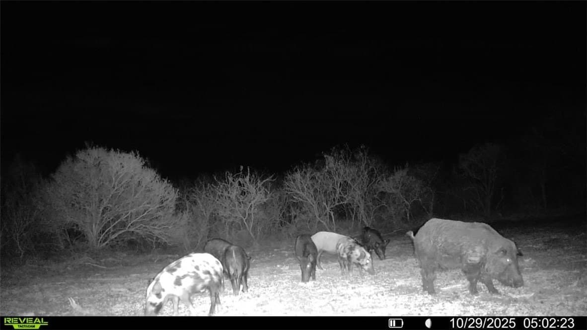 22.81 acres in Wilson County - photo 29