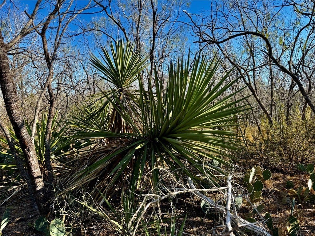 22.81 acres in Wilson County - photo 32