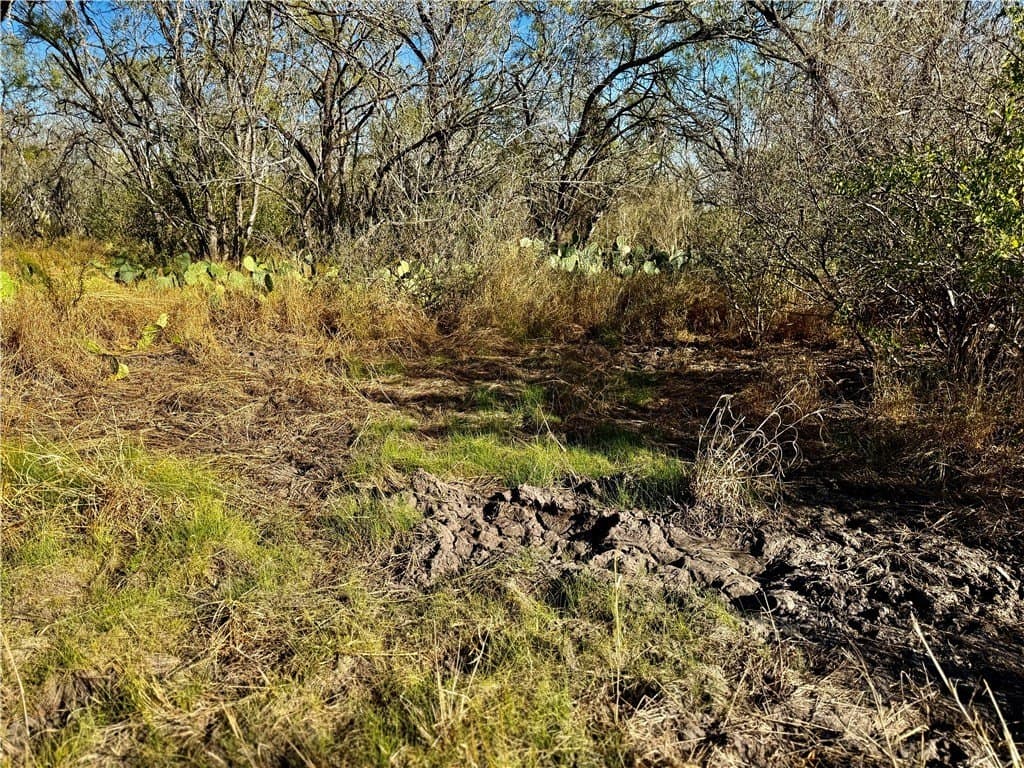 22.81 acres in Wilson County - photo 21