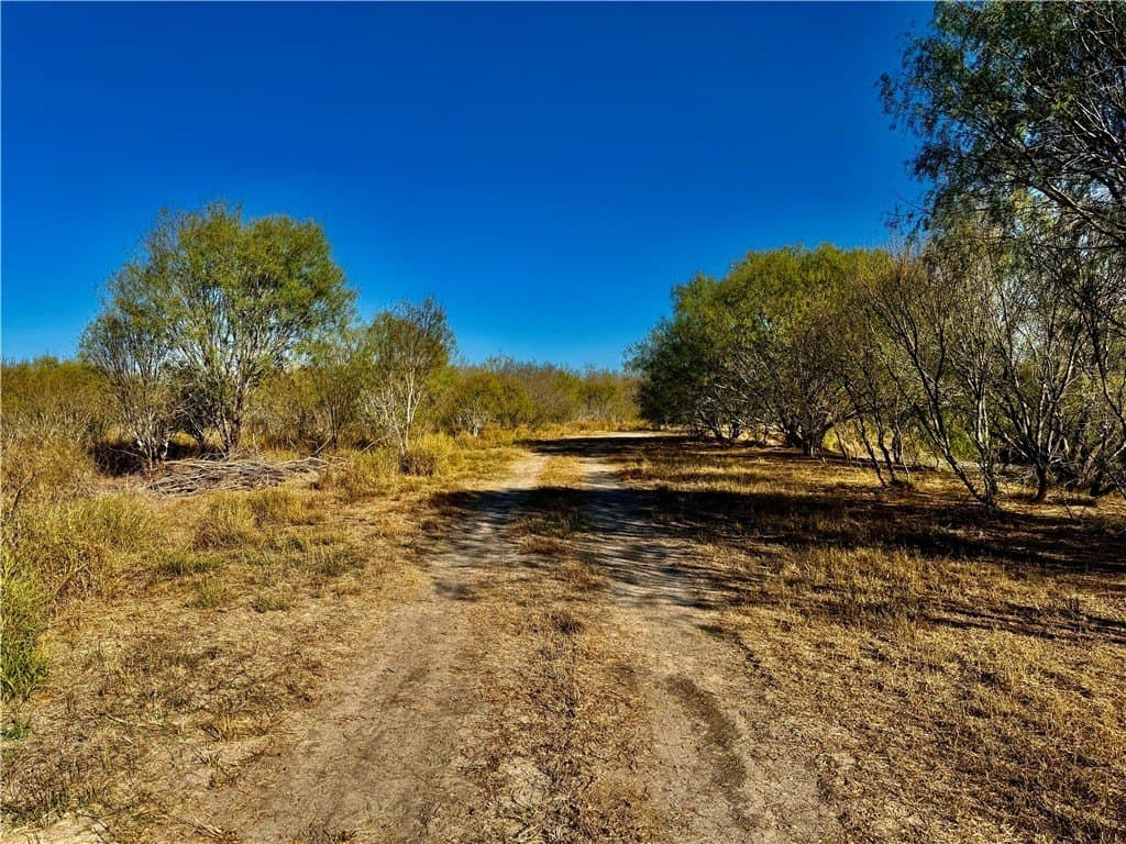 22.81 acres in Wilson County - photo 13