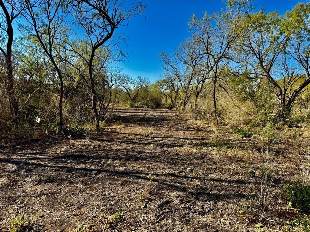 22.81 acres in Wilson County - photo 28