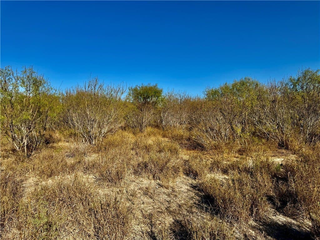 22.81 acres in Wilson County - photo 9