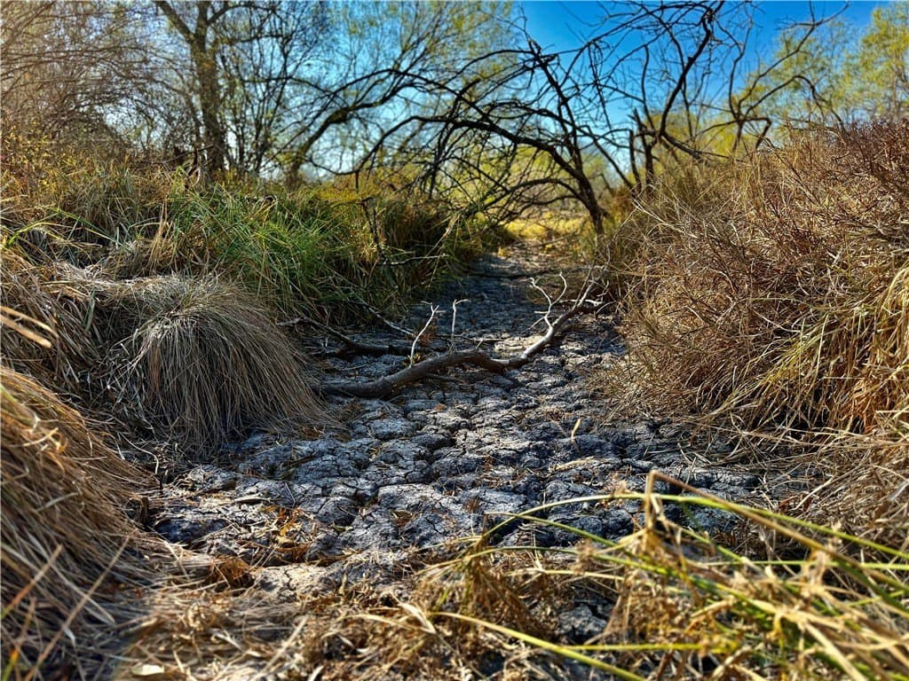 22.81 acres in Wilson County - photo 26