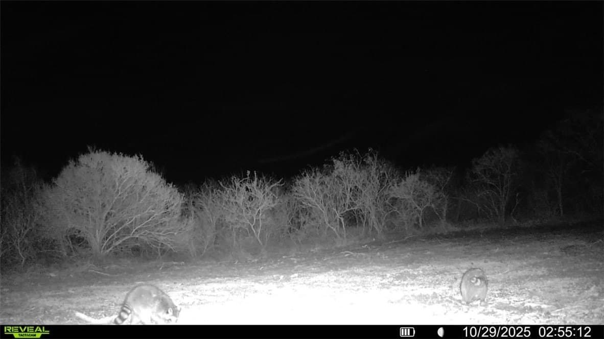 22.81 acres in Wilson County - photo 16
