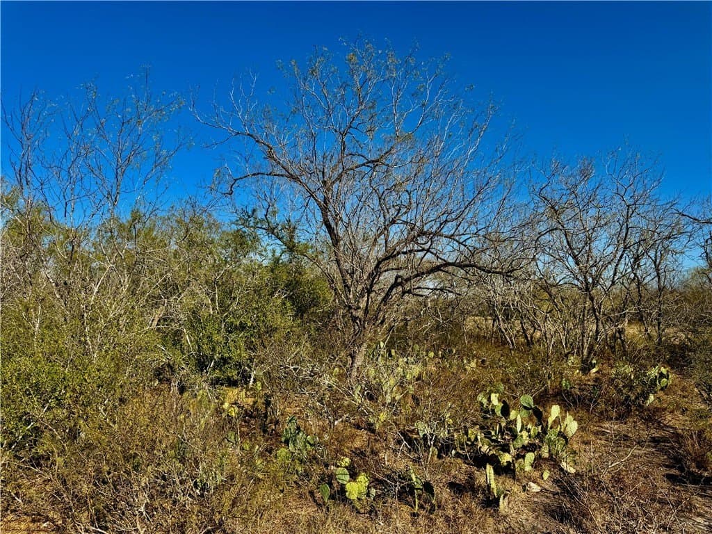 22.81 acres in Wilson County - photo 17