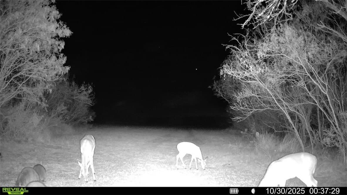 22.81 acres in Wilson County - photo 24