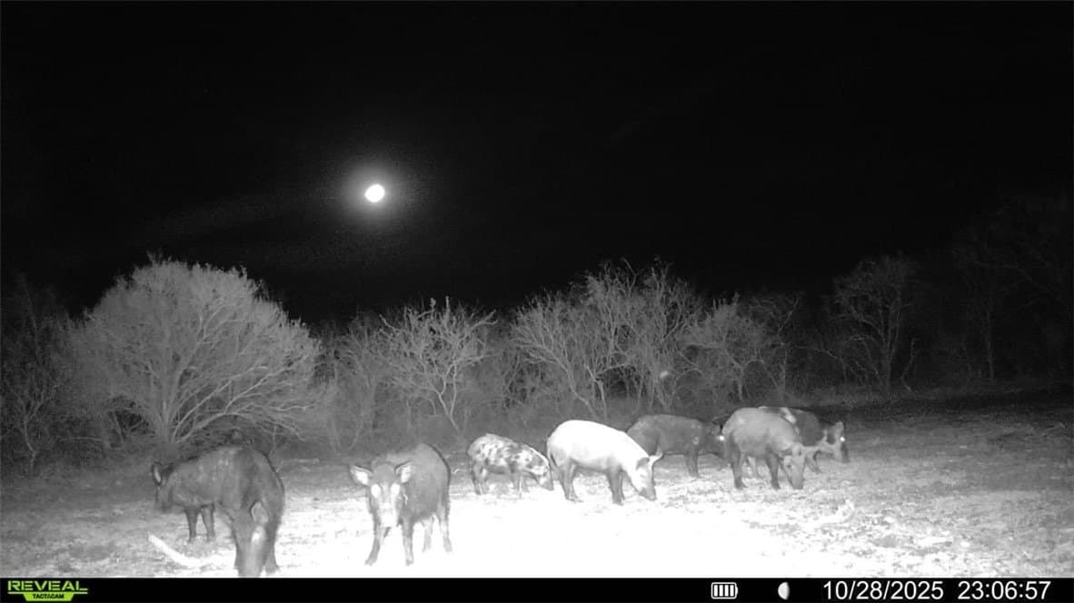 22.81 acres in Wilson County - photo 22