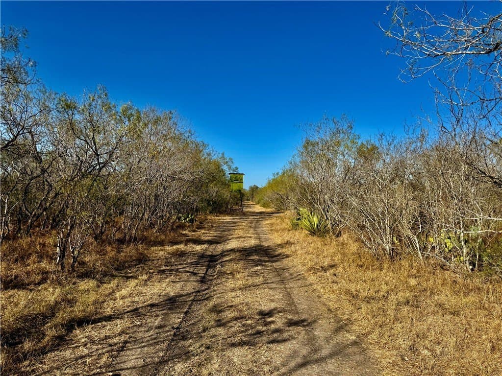 22.81 acres in Wilson County - photo 15