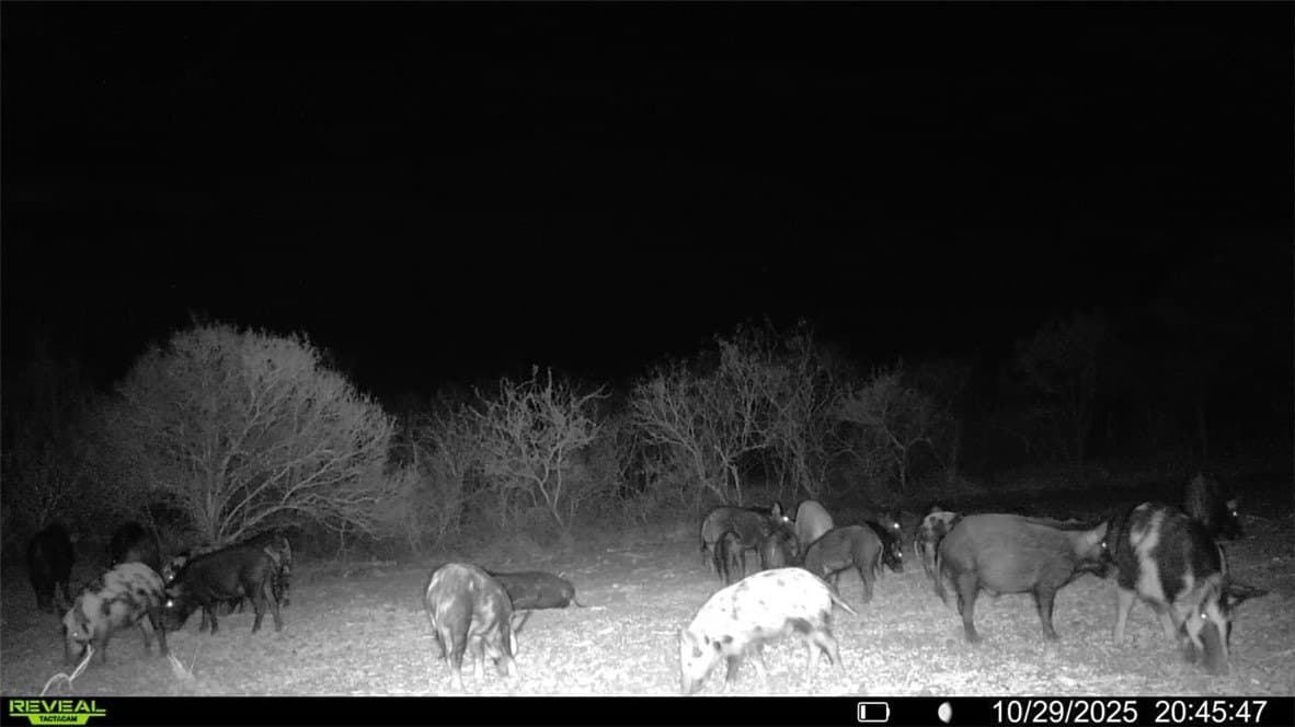 22.81 acres in Wilson County - photo 6