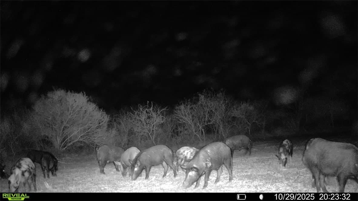 22.81 acres in Wilson County - photo 20