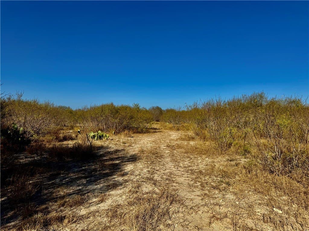22.81 acres in Wilson County - photo 5