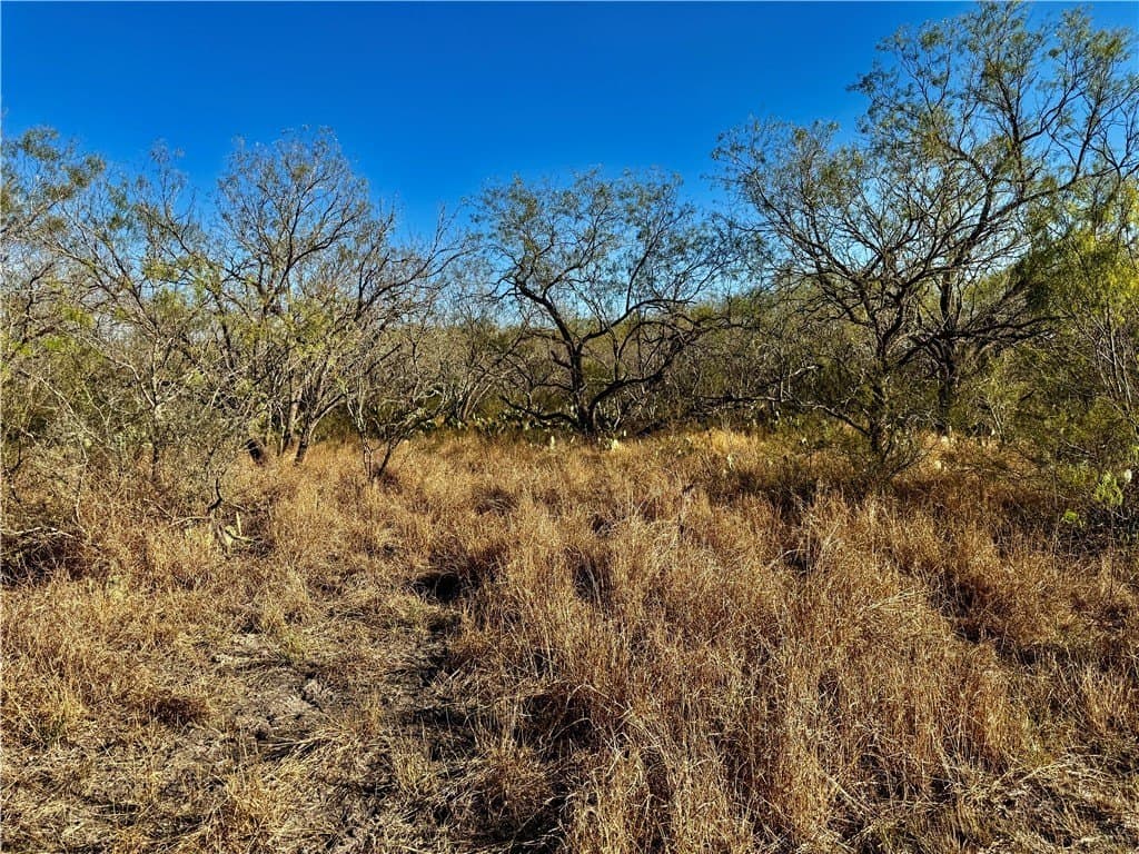 22.81 acres in Wilson County - photo 23