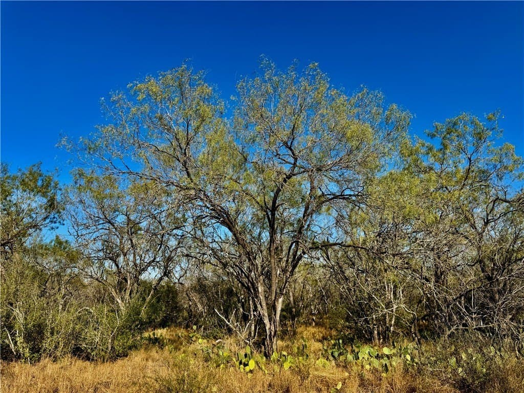 22.81 acres in Wilson County - photo 19